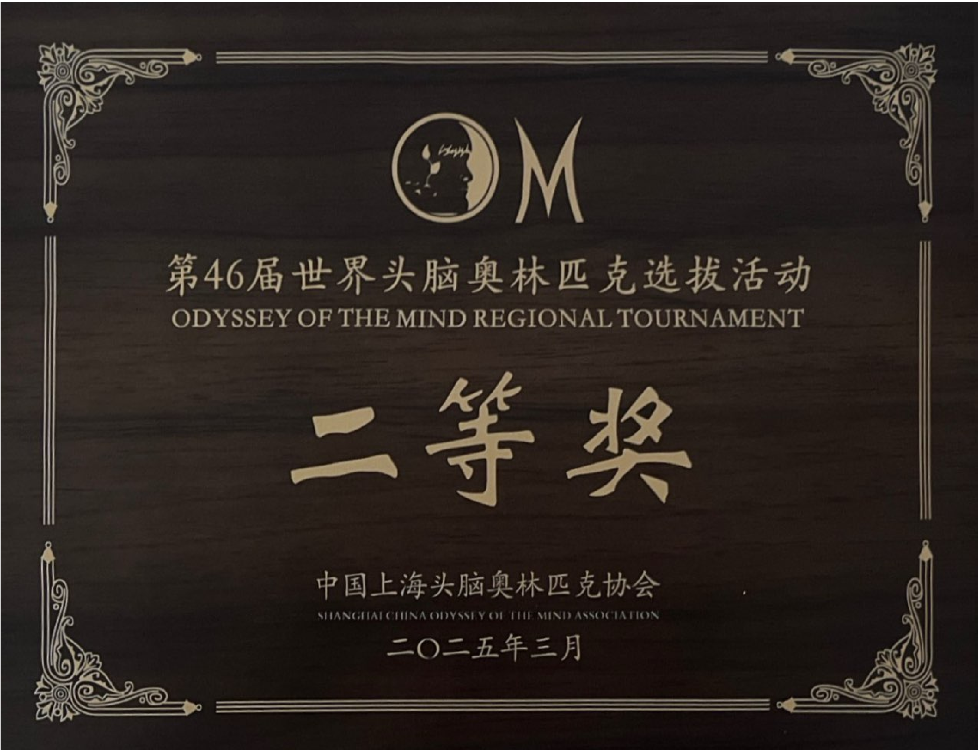 奥地利选手荣膺铜牌，成绩喜人，战绩斐然