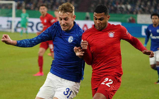 沙尔克客场不敌对手，保级危机加重，表现亮眼的简单介绍