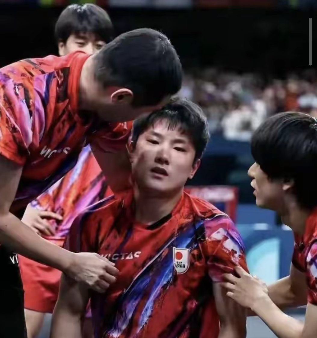 关于波兰队轻取瑞典队，张本智和刷新纪录的信息