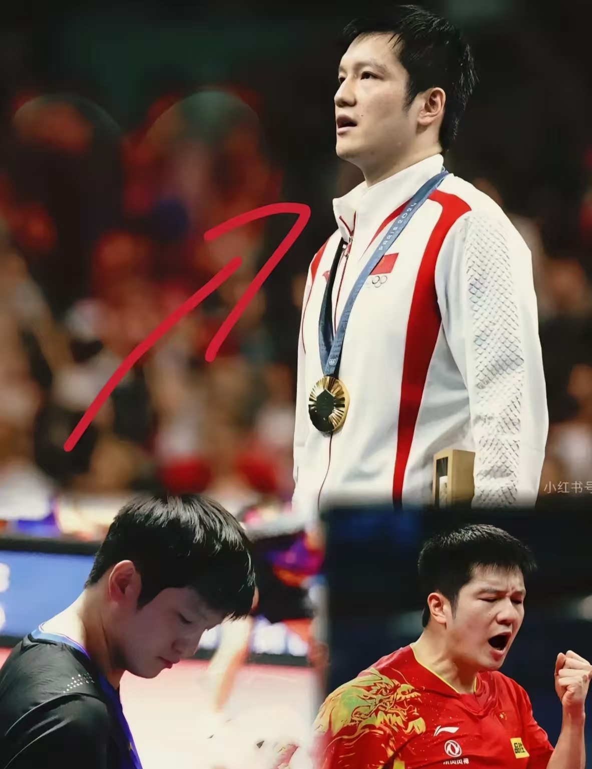 开云体育登录-奥地利队逆转法国队,樊振东扛起全队