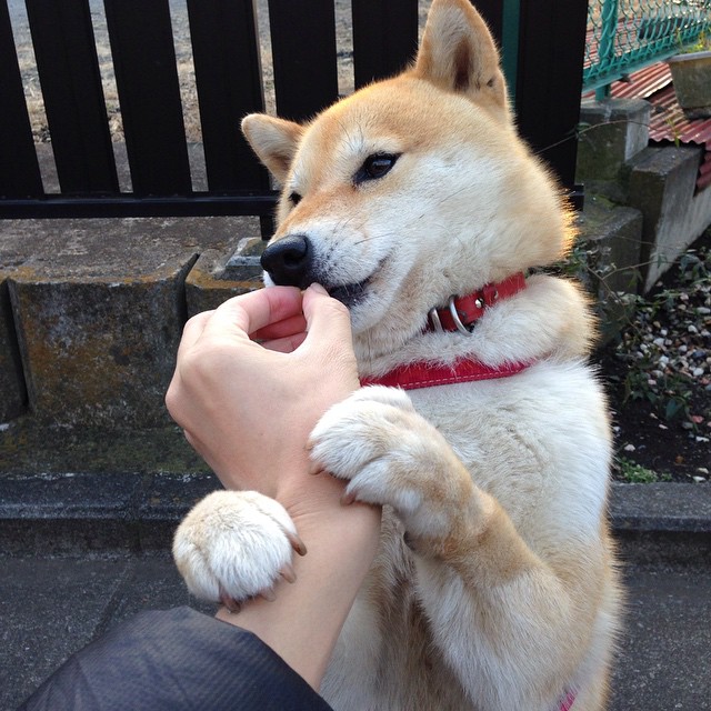 开云体育下载-美加墨世界杯之夜，贝恩一剑封喉，那个改写历史的冰冷杀手